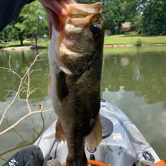 I’m Matt! Bundle and save! Don’t hesitate to offer - Picture 2 of 2